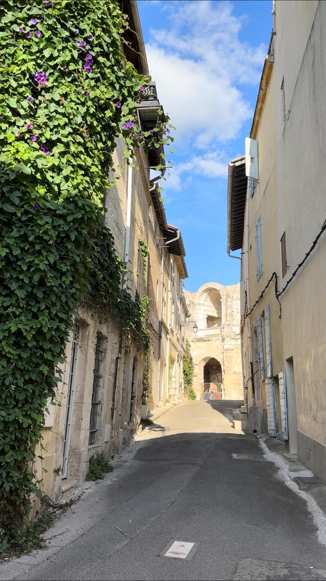 La Maison Des Hautures Arles Eksteriør bilde
